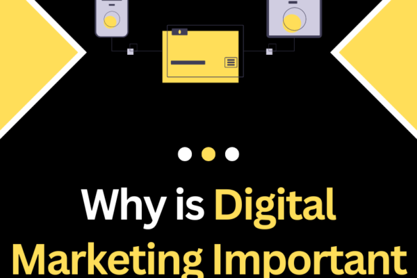 Digital Marketing Important For Business